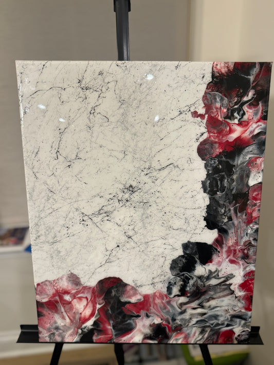 16x20